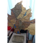 Багатошарова дерев'яна мапа Харкова з підсвічуванням, колір Тотал Браун