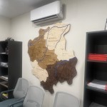 Дерев’яна деталізована мапа Волинської області з підсвічуванням, колір Палісандр
