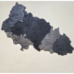 Мапа Закарпатської області з дерева, колір Модерн