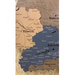 Дерев'яна карта Житомирської області з підсвіткою та річками, колір Вулкан