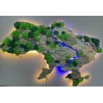 Багатошарова мапа України з дерева та стабілізованого моху, колір Хакі