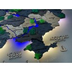 Дерев'яна 3Д карта України з стабілізованим мохом та підсвіткою річок, колір Браун
