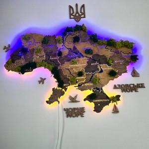 Мапа України на стіну з дерева, акрилу та стабілізованого моху, LED підсвітка