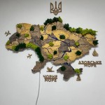 Мапа України на стіну з дерева, акрилу та стабілізованого моху, LED підсвітка