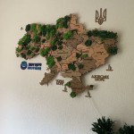 Багатошарова мапа України з дерева та стабілізованого моху, колір Хакі